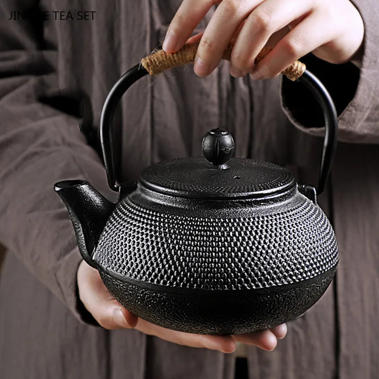 Japanese Cast Iron Teapot Retro Tea Pot and Cup Set Outdoor Tea Cooker Special Tea Set Puer Beauty Teaware Household Teakettle