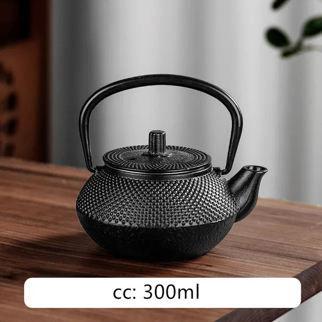 Japanese Cast Iron Teapot Retro Tea Pot and Cup Set Outdoor Tea Cooker Special Tea Set Puer Beauty Teaware Household Teakettle