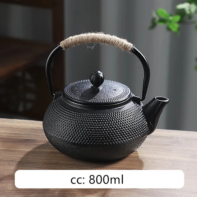 Japanese Cast Iron Teapot Retro Tea Pot and Cup Set Outdoor Tea Cooker Special Tea Set Puer Beauty Teaware Household Teakettle