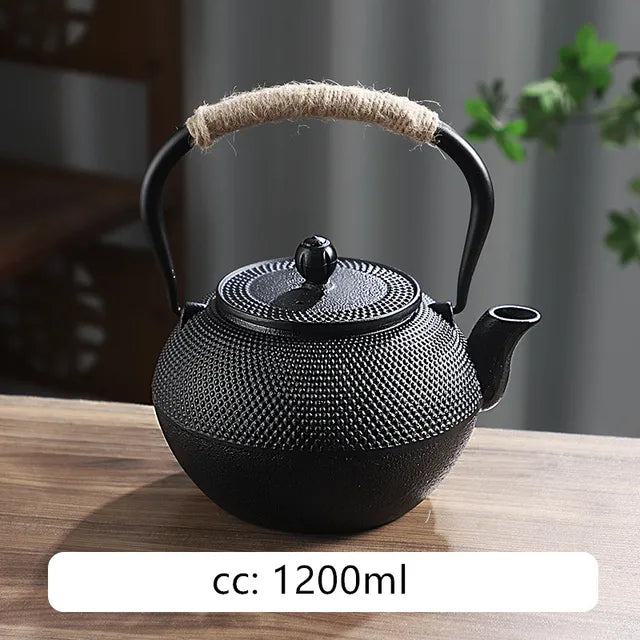 Japanese Cast Iron Teapot Retro Tea Pot and Cup Set Outdoor Tea Cooker Special Tea Set Puer Beauty Teaware Household Teakettle