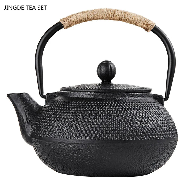 Japanese Cast Iron Teapot Retro Tea Pot and Cup Set Outdoor Tea Cooker Special Tea Set Puer Beauty Teaware Household Teakettle